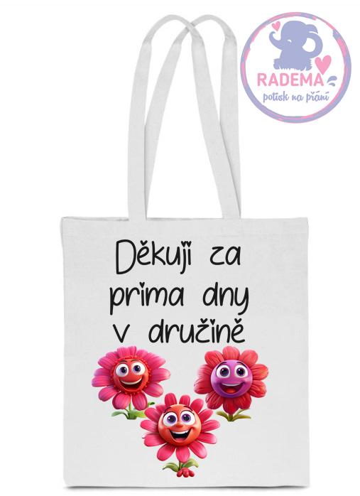 Plátěná taška - Děkuji družina - škola